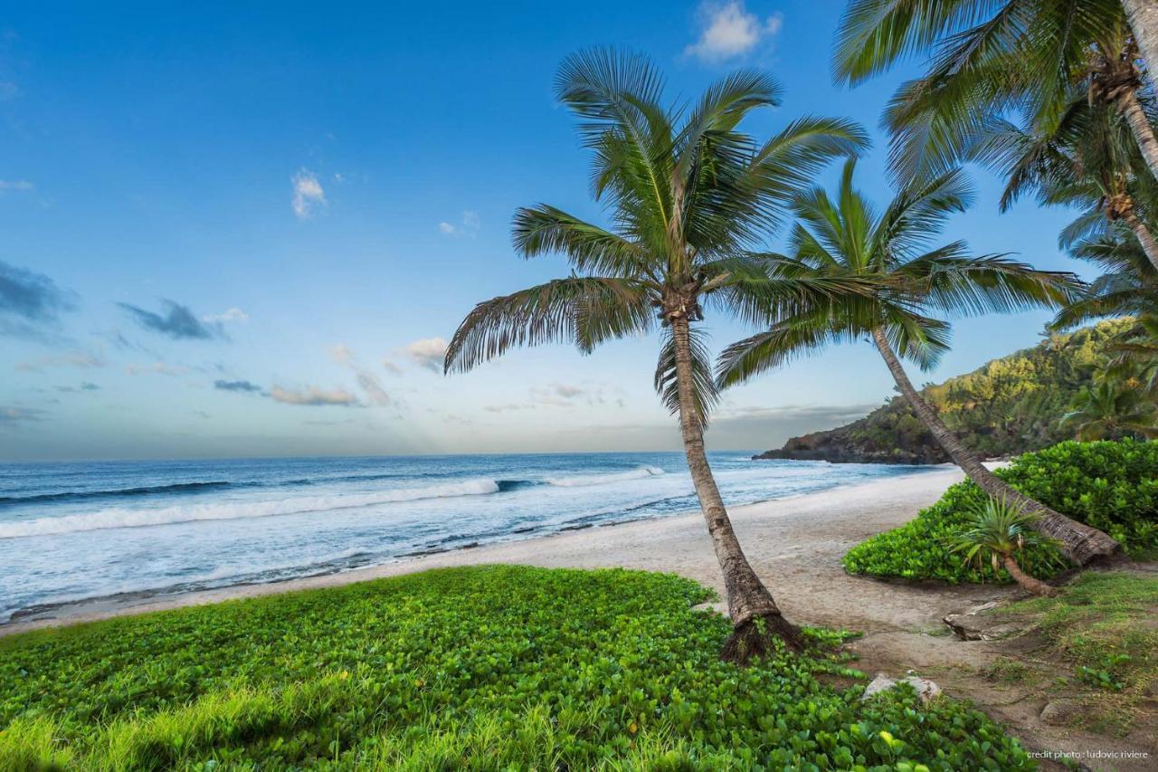 T2 Cosy A 100M De La Plage, Saint-Pierre, Luma Appart 외부 사진